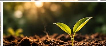Discipleship and spiritual growth